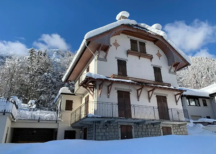 Renove Avec Vue Mont-blanc, Parking Et Wifi A - Fr-1-343-206 * 霞慕尼