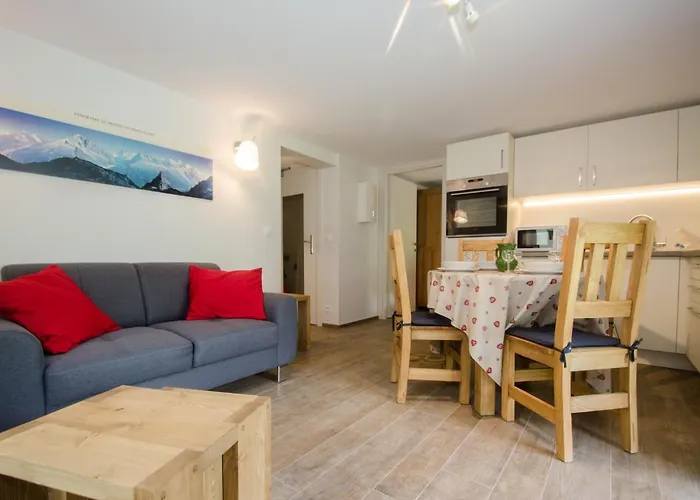 公寓 Renove Avec Vue Mont-blanc, Parking Et Wifi A - Fr-1-343-206