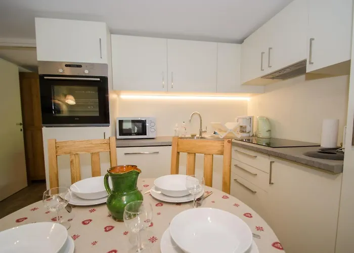 Renove Avec Vue Mont-blanc, Parking Et Wifi A - Fr-1-343-206 霞慕尼