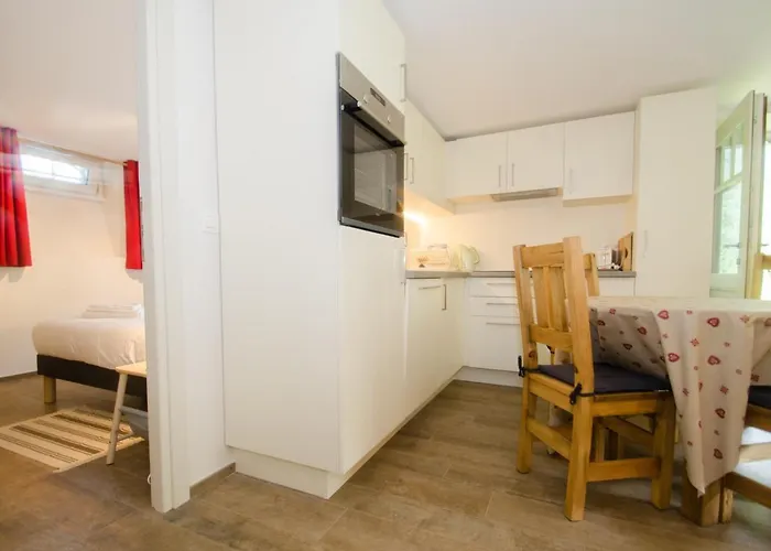 Renove Avec Vue Mont-blanc, Parking Et Wifi A - Fr-1-343-206 公寓