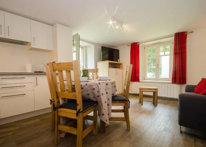 Appartement Renove Avec Vue Mont-blanc, Parking Et Wifi A - Fr-1-343-206 Chamonix